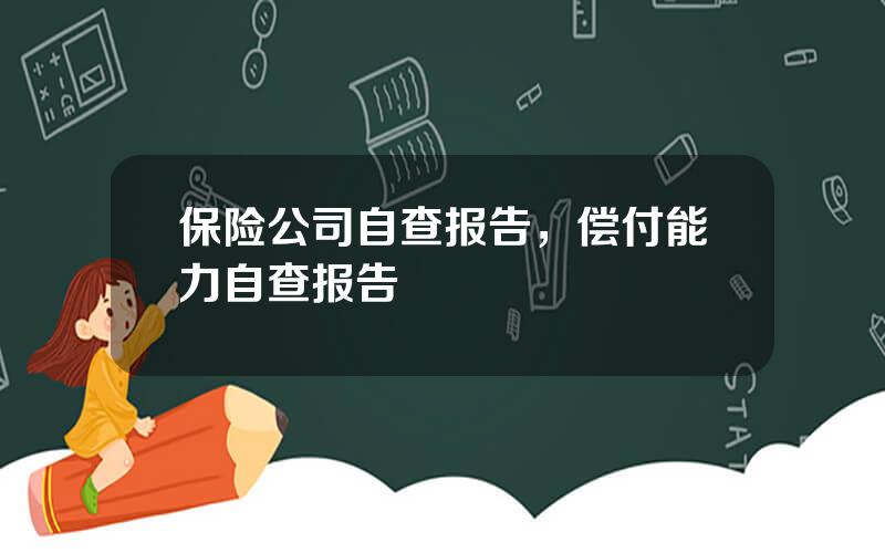 保险公司自查报告，偿付能力自查报告