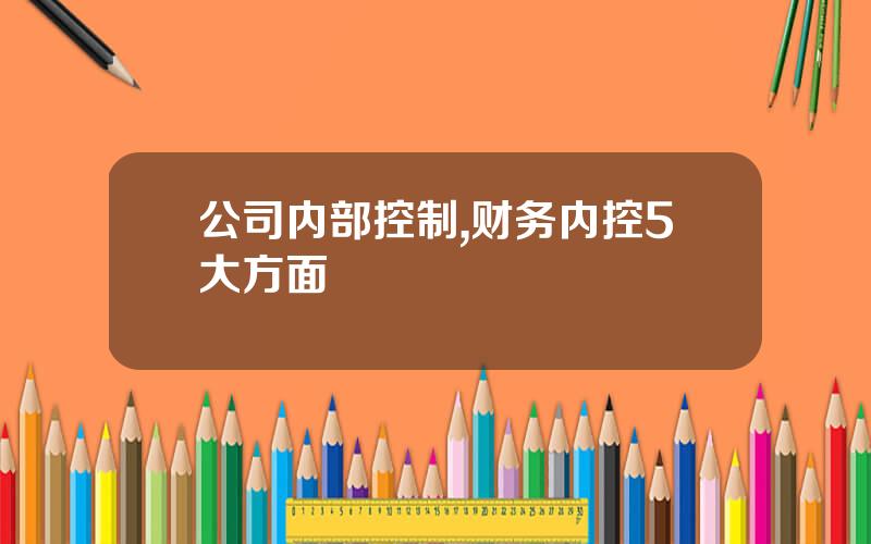 公司内部控制,财务内控5大方面