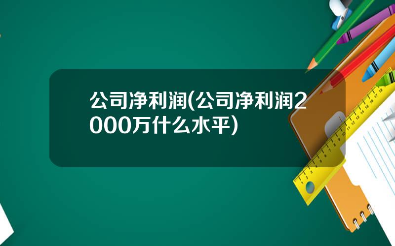 公司净利润(公司净利润2000万什么水平)