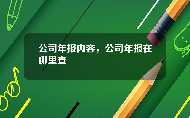 公司年报内容，公司年报在哪里查