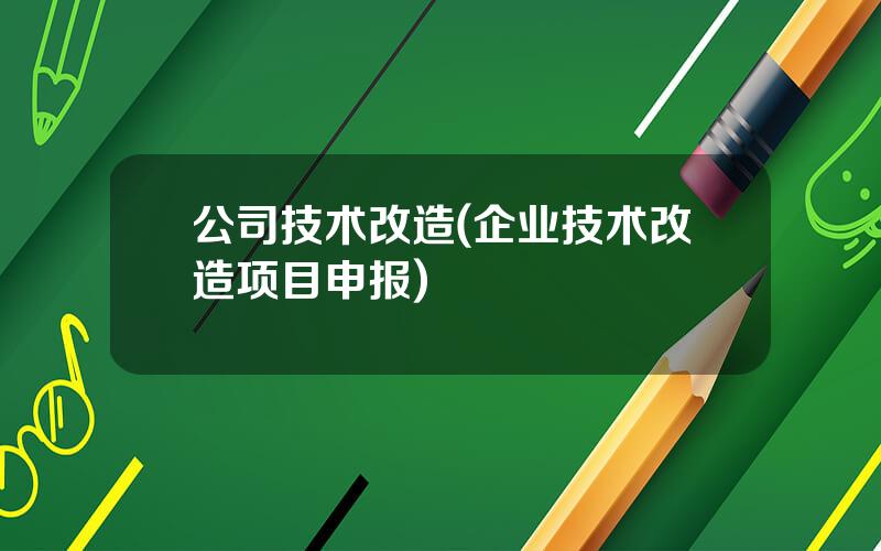 公司技术改造(企业技术改造项目申报)