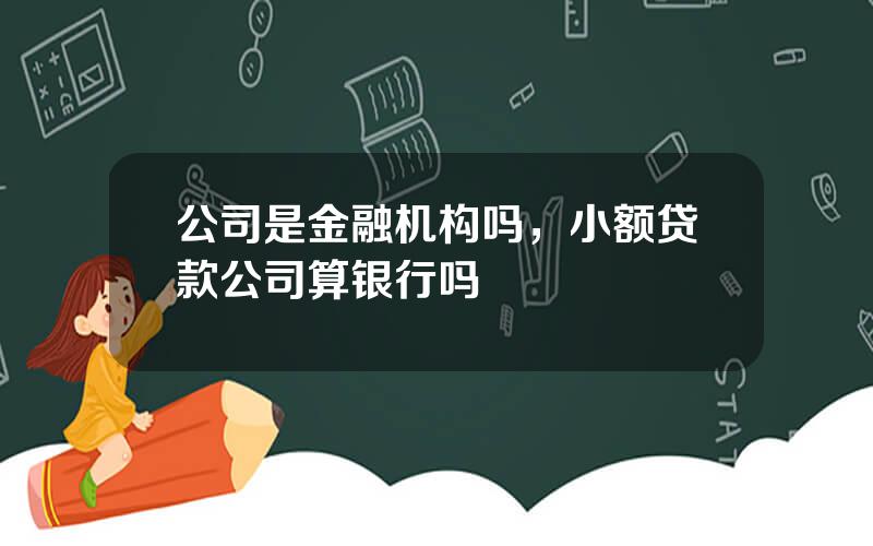 公司是金融机构吗，小额贷款公司算银行吗