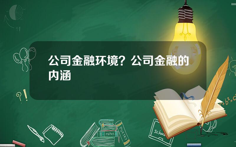 公司金融环境？公司金融的内涵