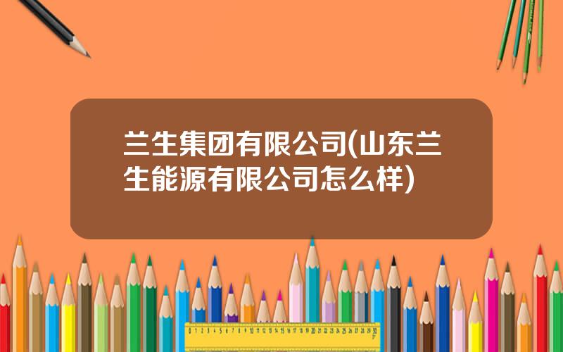 兰生集团有限公司(山东兰生能源有限公司怎么样)