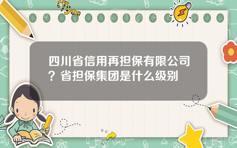 四川省信用再担保有限公司？省担保集团是什么级别