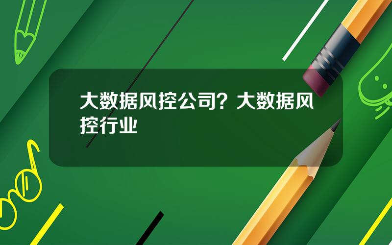 大数据风控公司？大数据风控行业