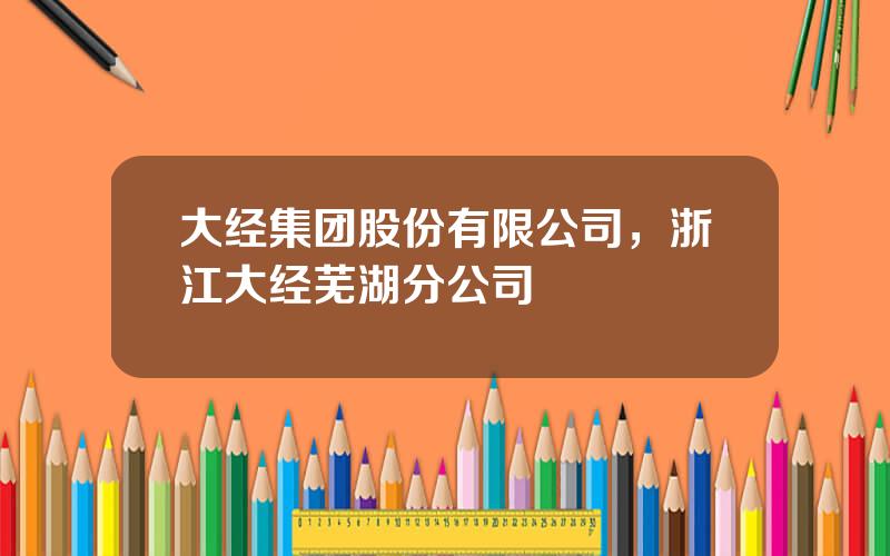 大经集团股份有限公司，浙江大经芜湖分公司