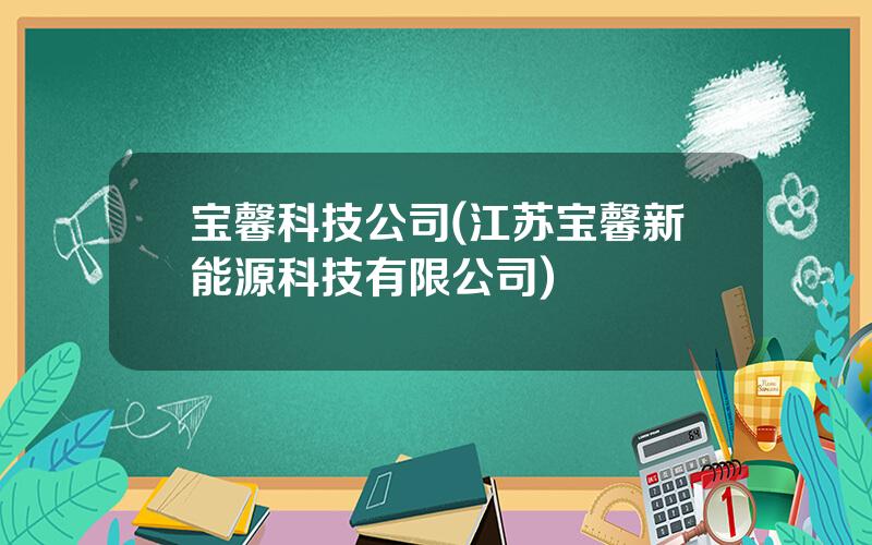 宝馨科技公司(江苏宝馨新能源科技有限公司)