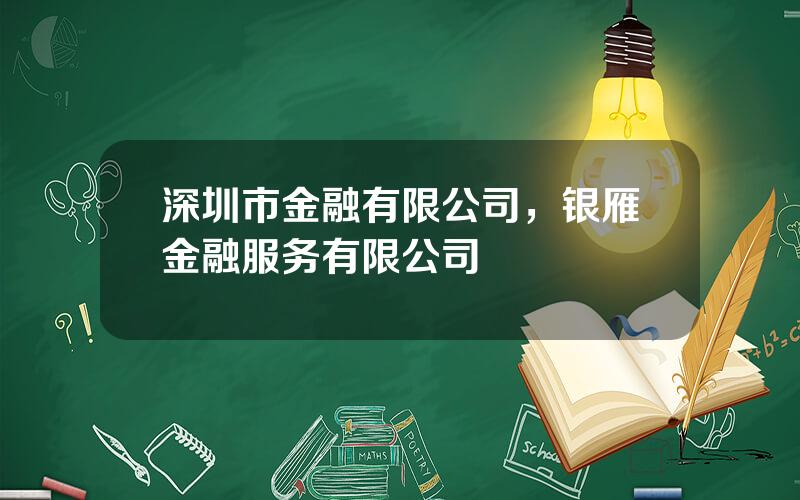 深圳市金融有限公司，银雁金融服务有限公司