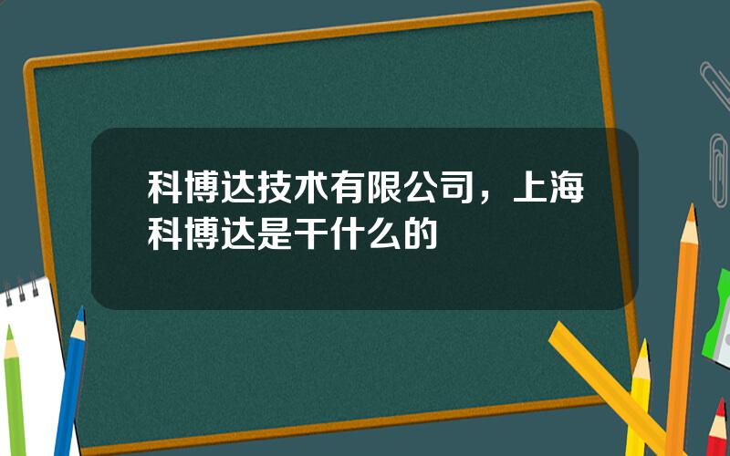 科博达技术有限公司，上海科博达是干什么的