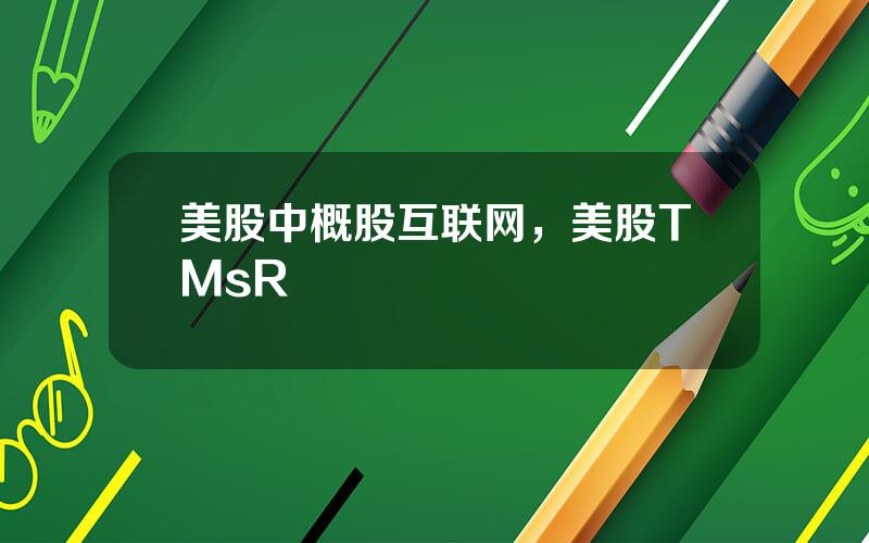 美股中概股互联网，美股TMsR